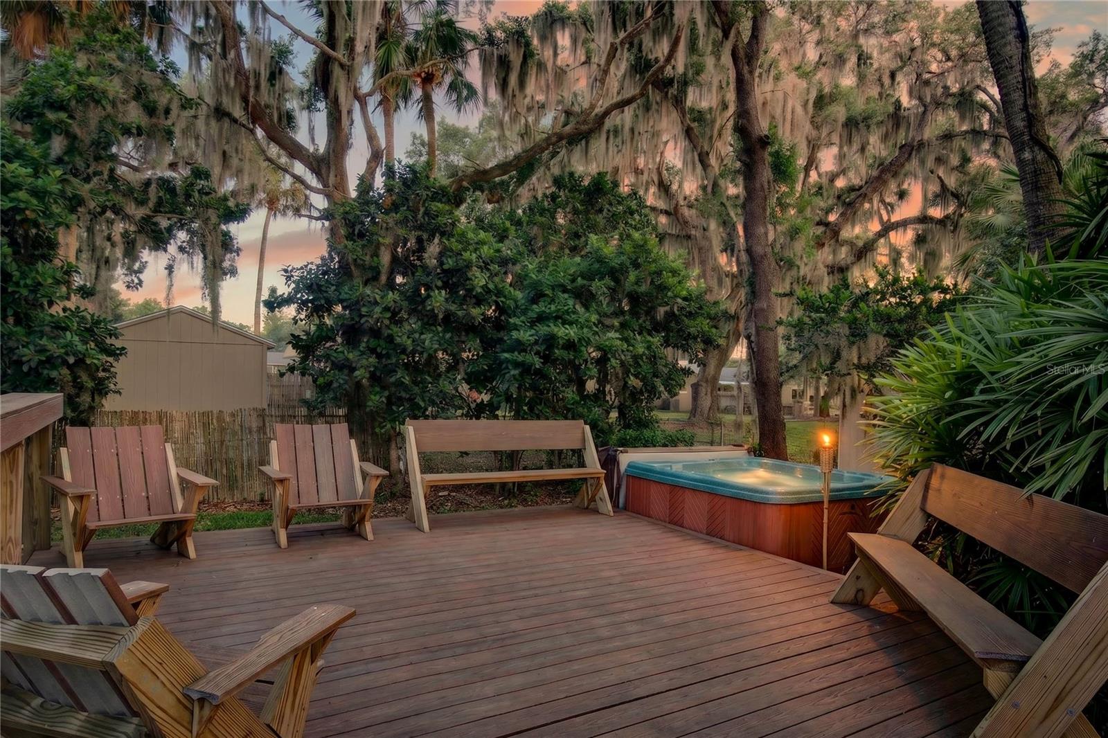 719 W NELSON ST, TAVARES, FL, 32778