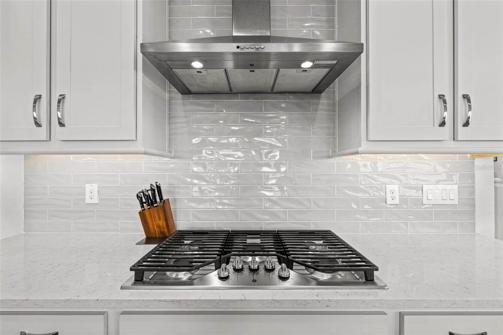 4790 TRAMANTO LN, WESLEY CHAPEL, FL, 33543