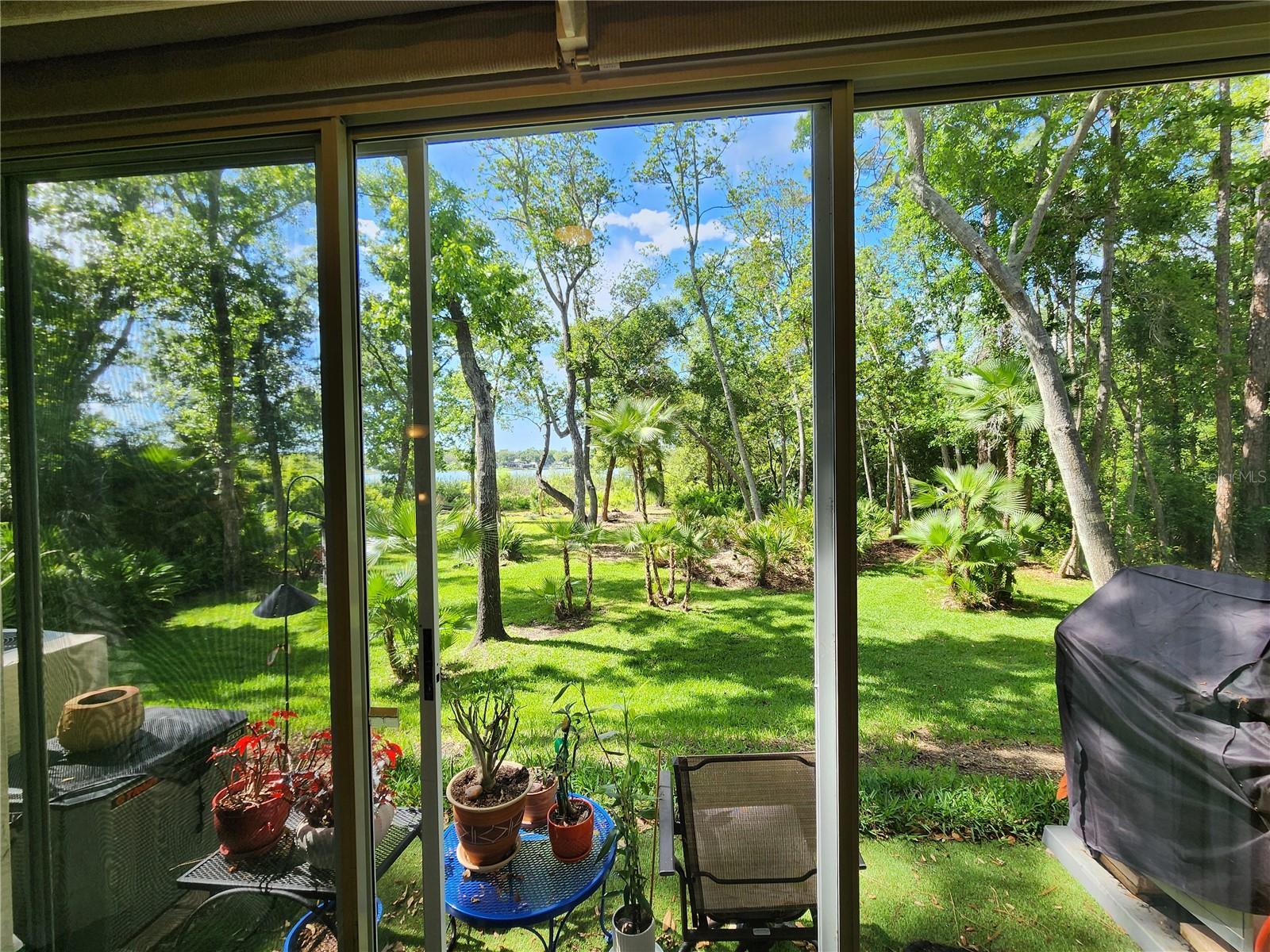 3609 COUNTRY POINTE PL, PALM HARBOR, FL, 34684