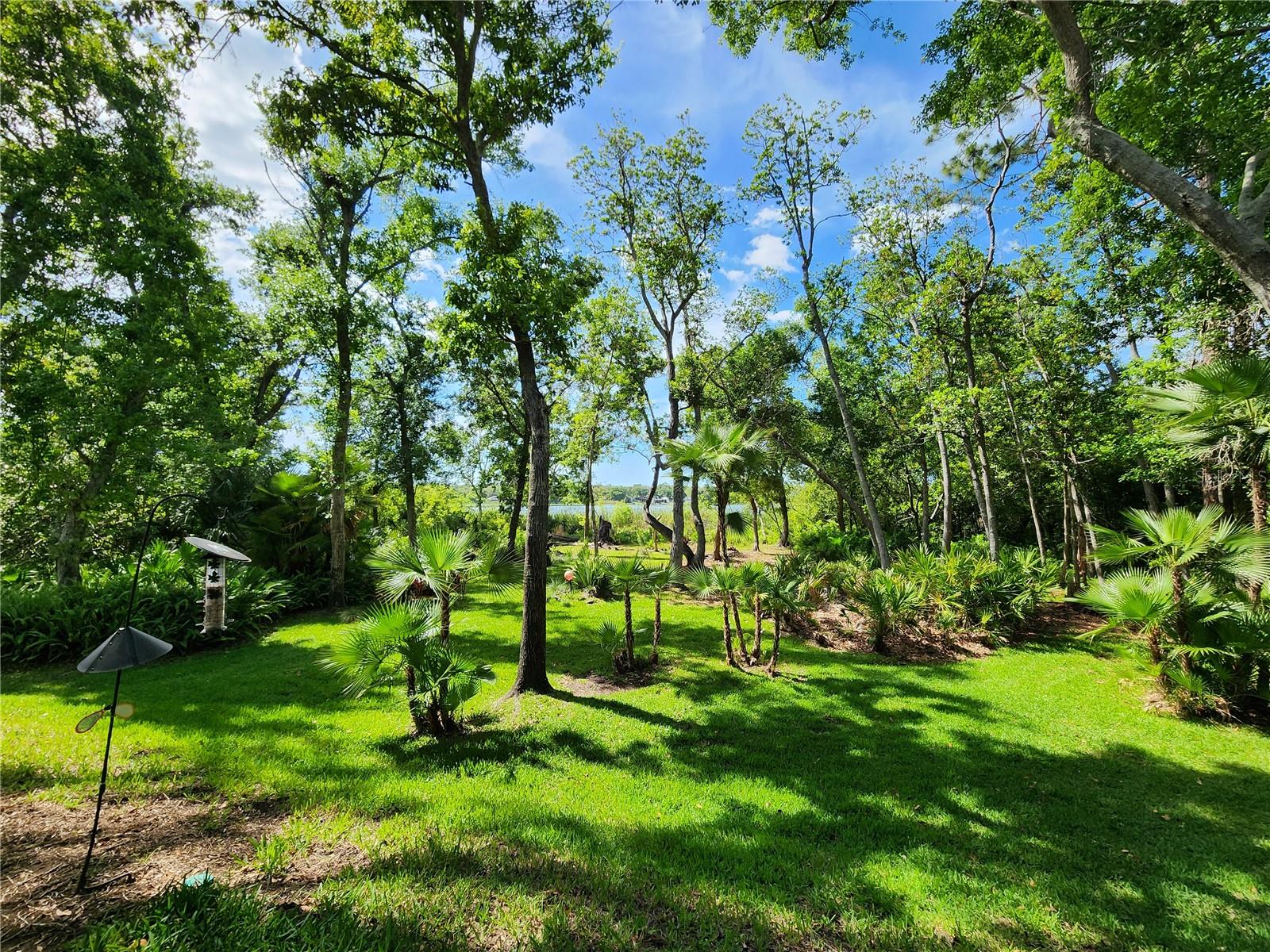3609 COUNTRY POINTE PL, PALM HARBOR, FL, 34684