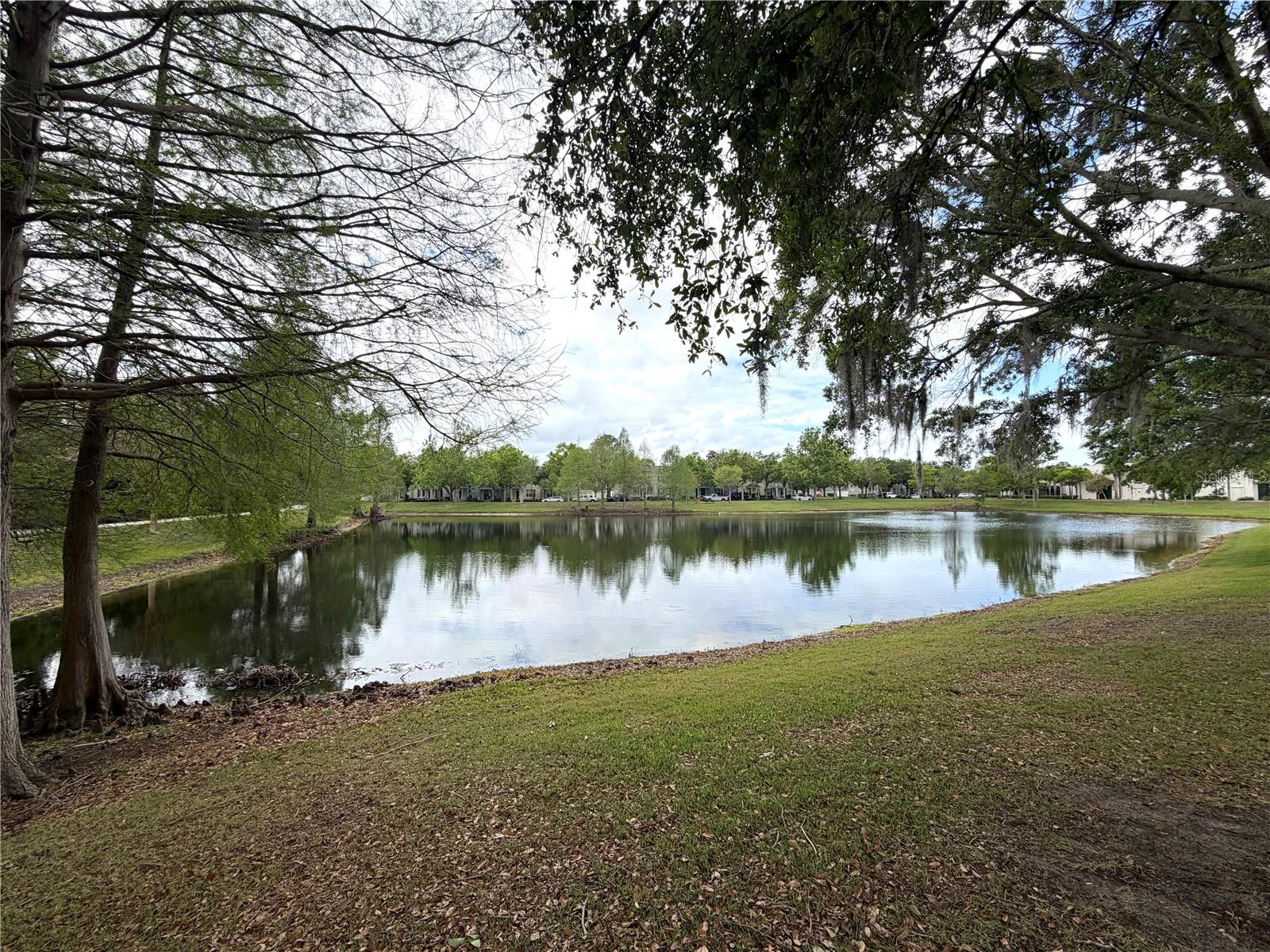 14517 BLUEBIRD PARK RD, WINDERMERE, FL, 34786