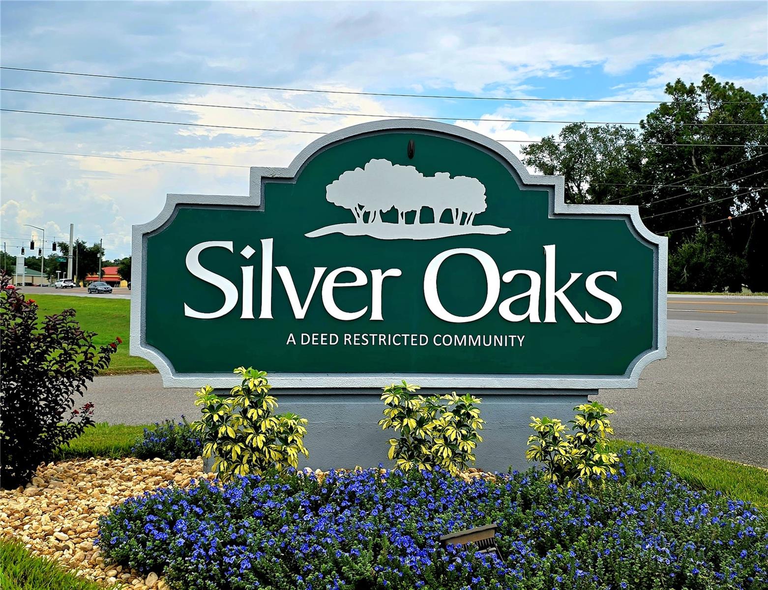 6151 SILVER OAKS DR, ZEPHYRHILLS, FL, 33542