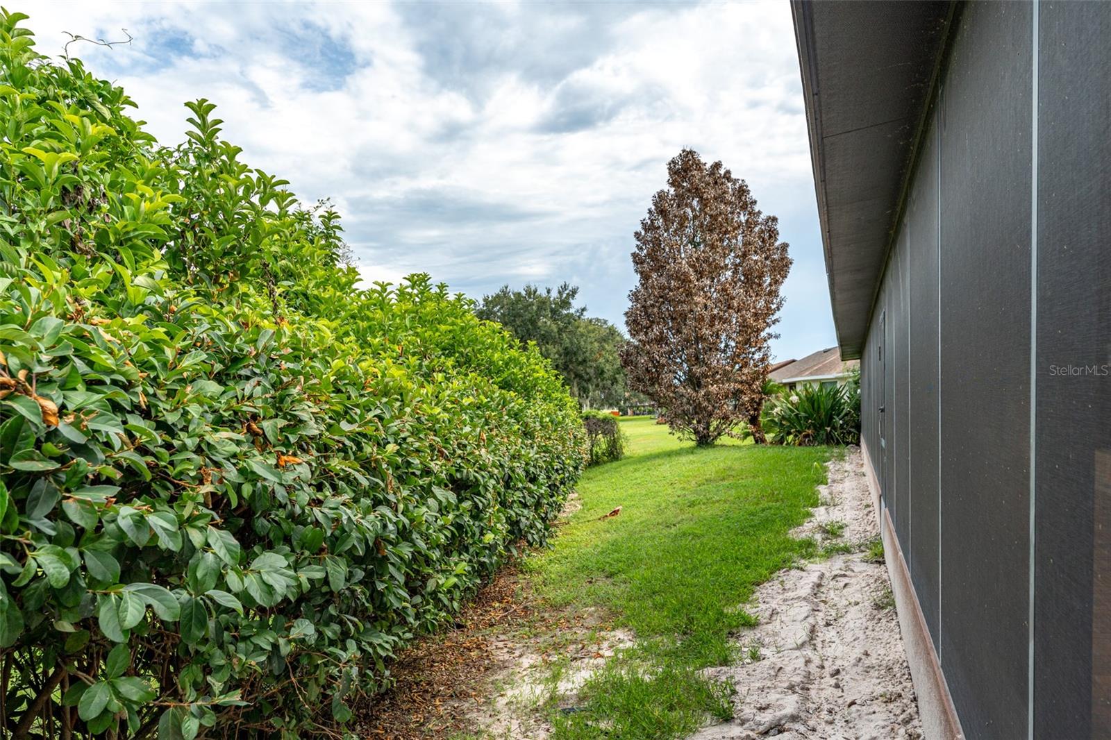 6151 SILVER OAKS DR, ZEPHYRHILLS, FL, 33542