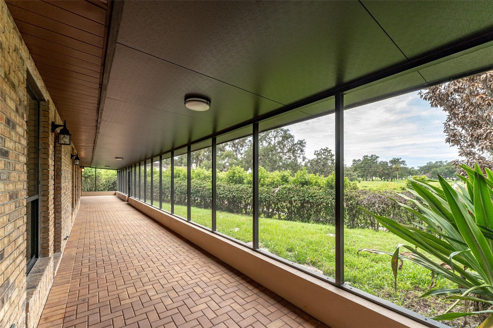 6151 SILVER OAKS DR, ZEPHYRHILLS, FL, 33542