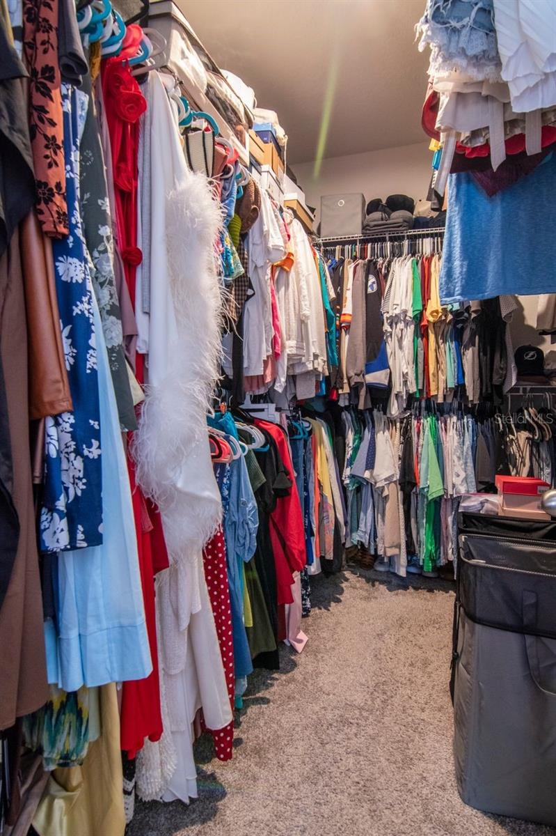 10455 HERON HIDEAWAY LOOP, LAND O LAKES, FL, 34638