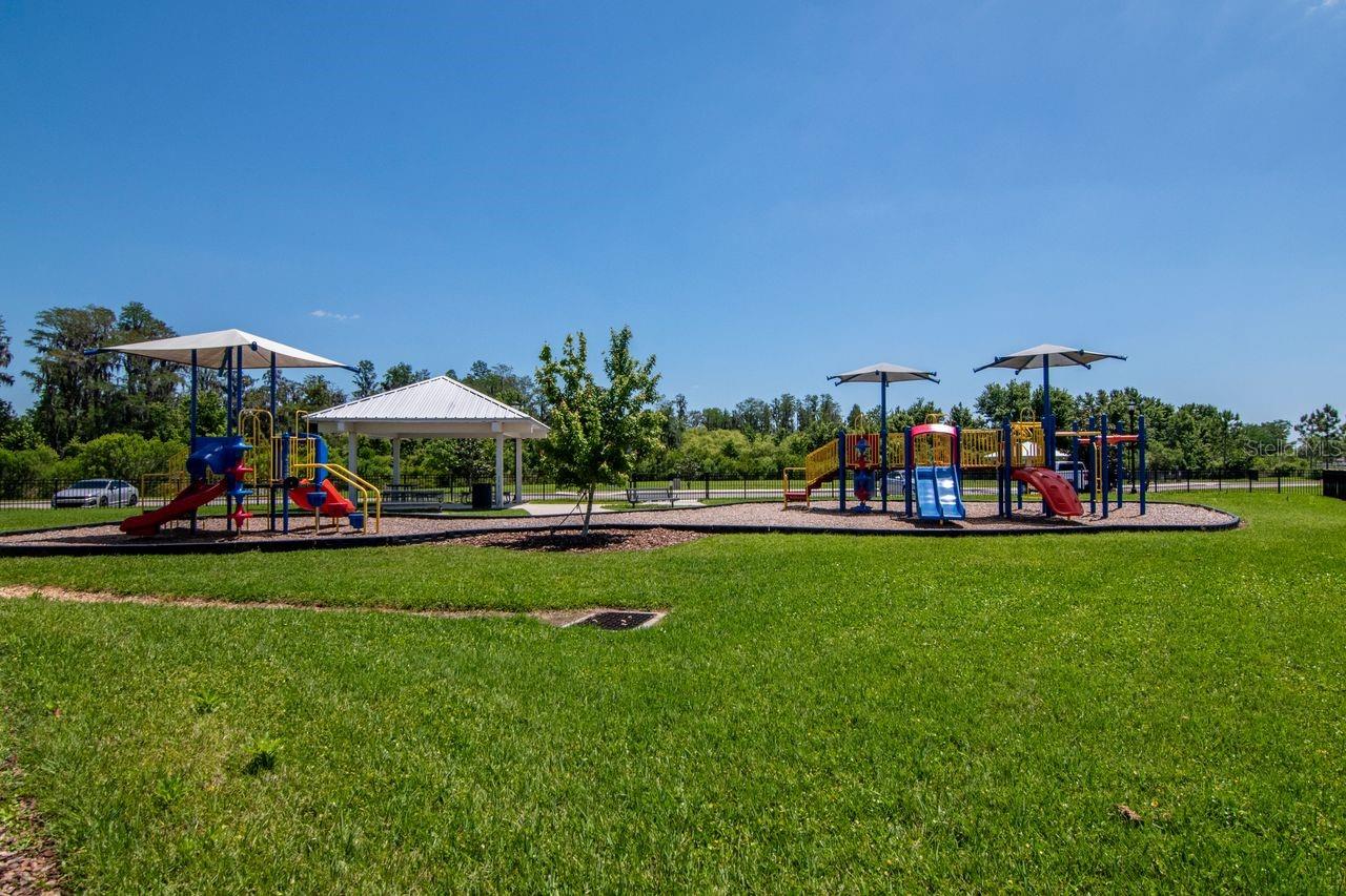 10455 HERON HIDEAWAY LOOP, LAND O LAKES, FL, 34638