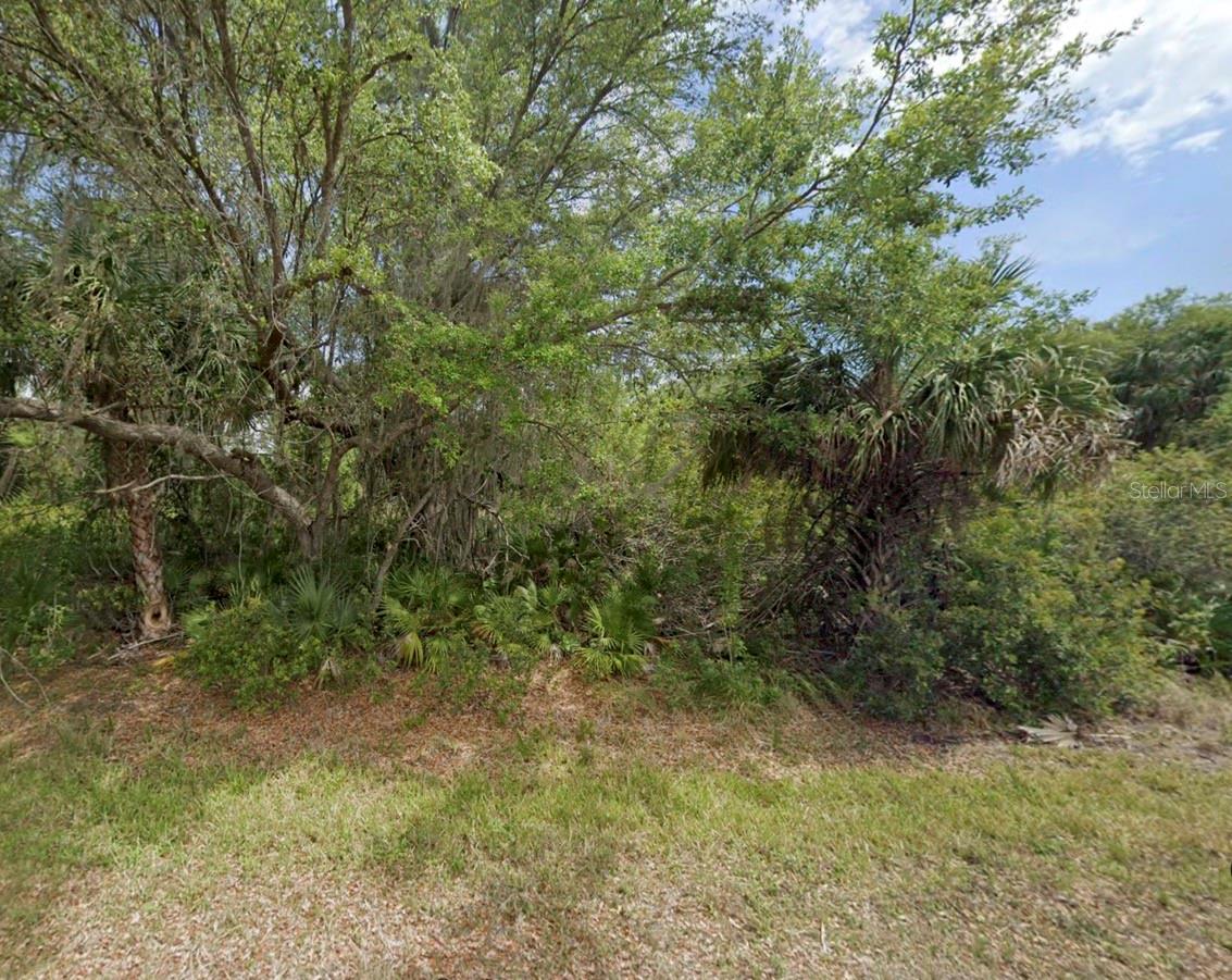 3542 MENTONE ST, PUNTA GORDA, FL, 33980
