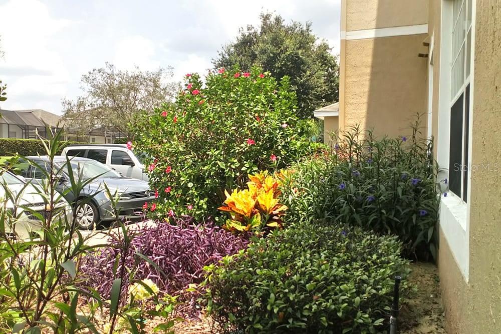 2307 BUTTERFLY PALM WAY #102, KISSIMMEE, FL, 34747