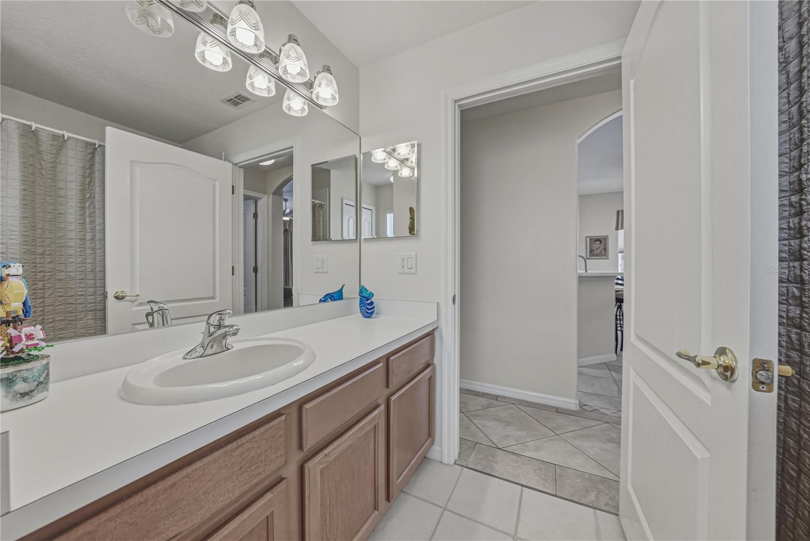 1542 SWAMP ROSE LN, TRINITY, FL, 34655