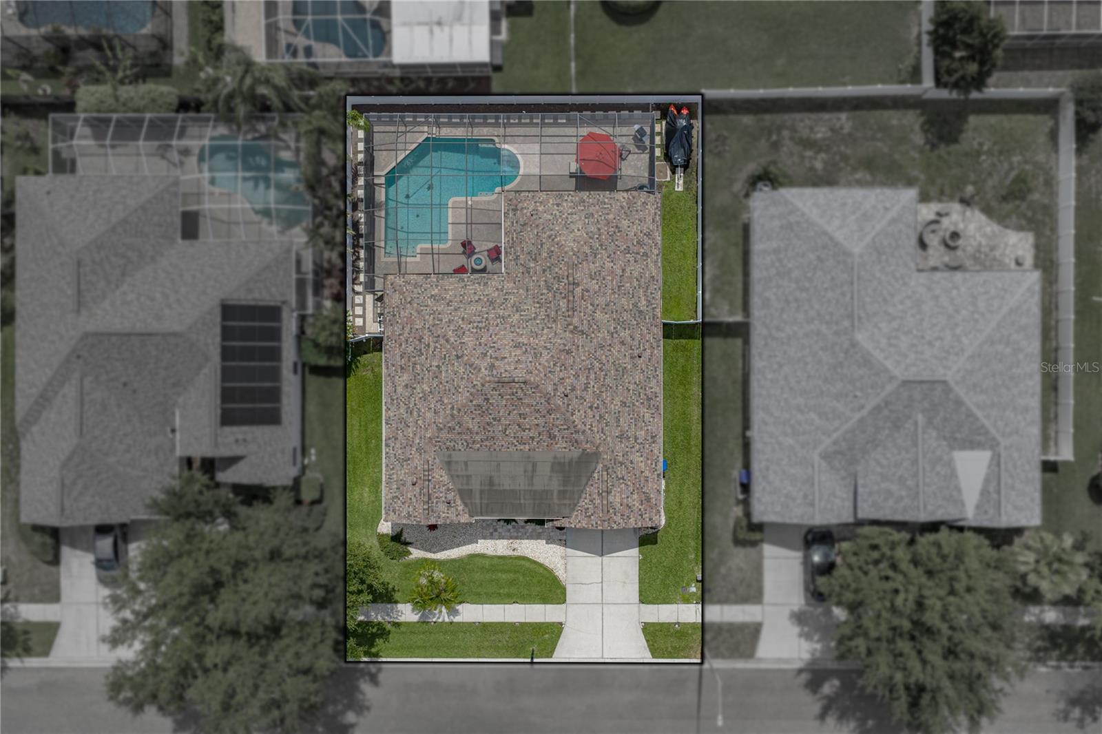 1542 SWAMP ROSE LN, TRINITY, FL, 34655