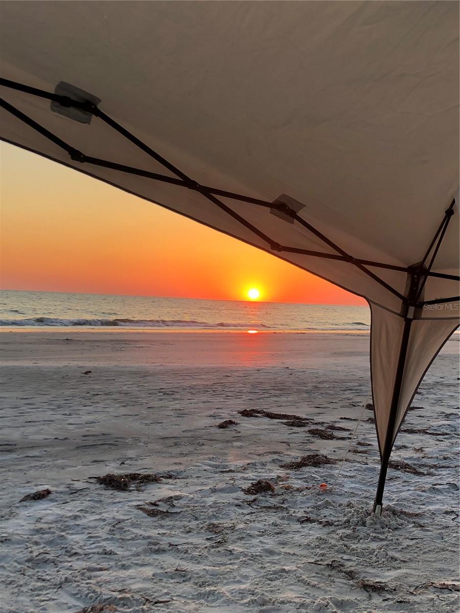 19020 GULF BLVD #8, INDIAN SHORES, FL, 33785