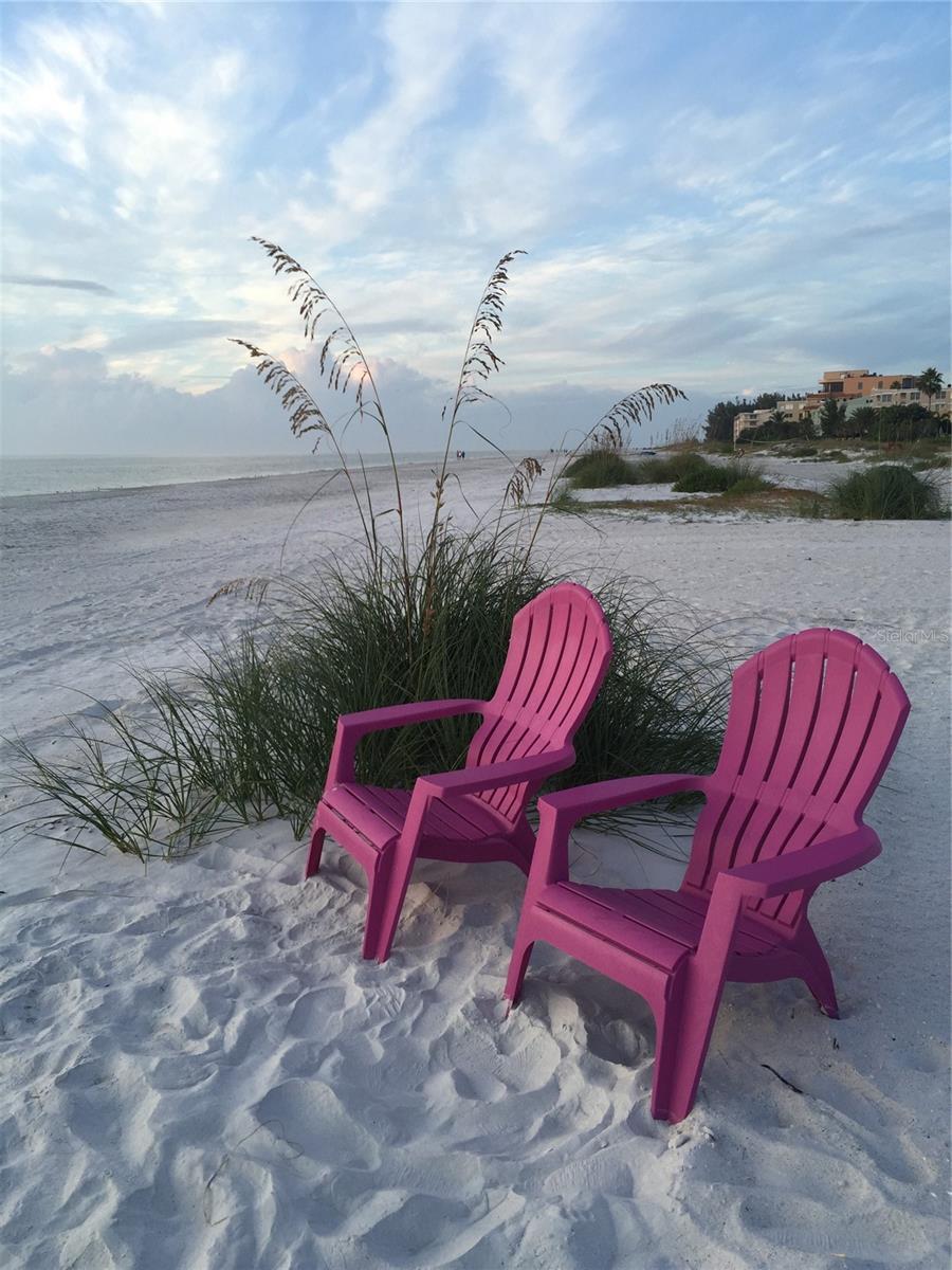 19020 GULF BLVD #8, INDIAN SHORES, FL, 33785