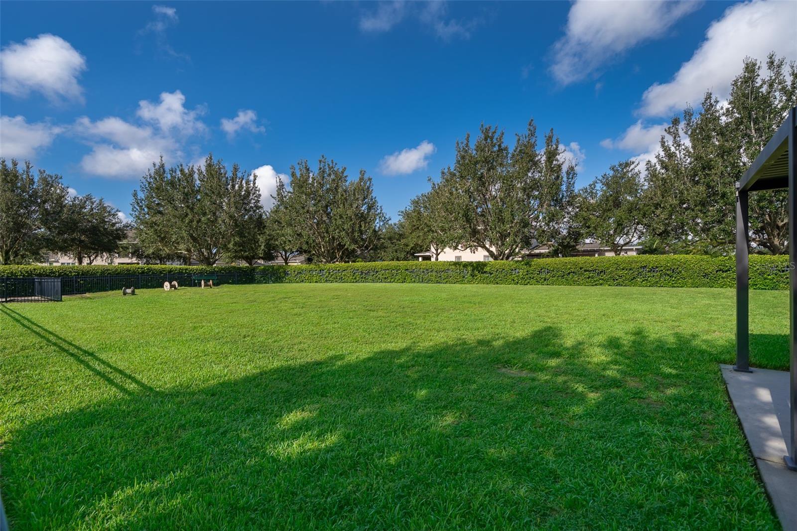 8031 NAVEL ORANGE LN, WINTER GARDEN, FL, 34787