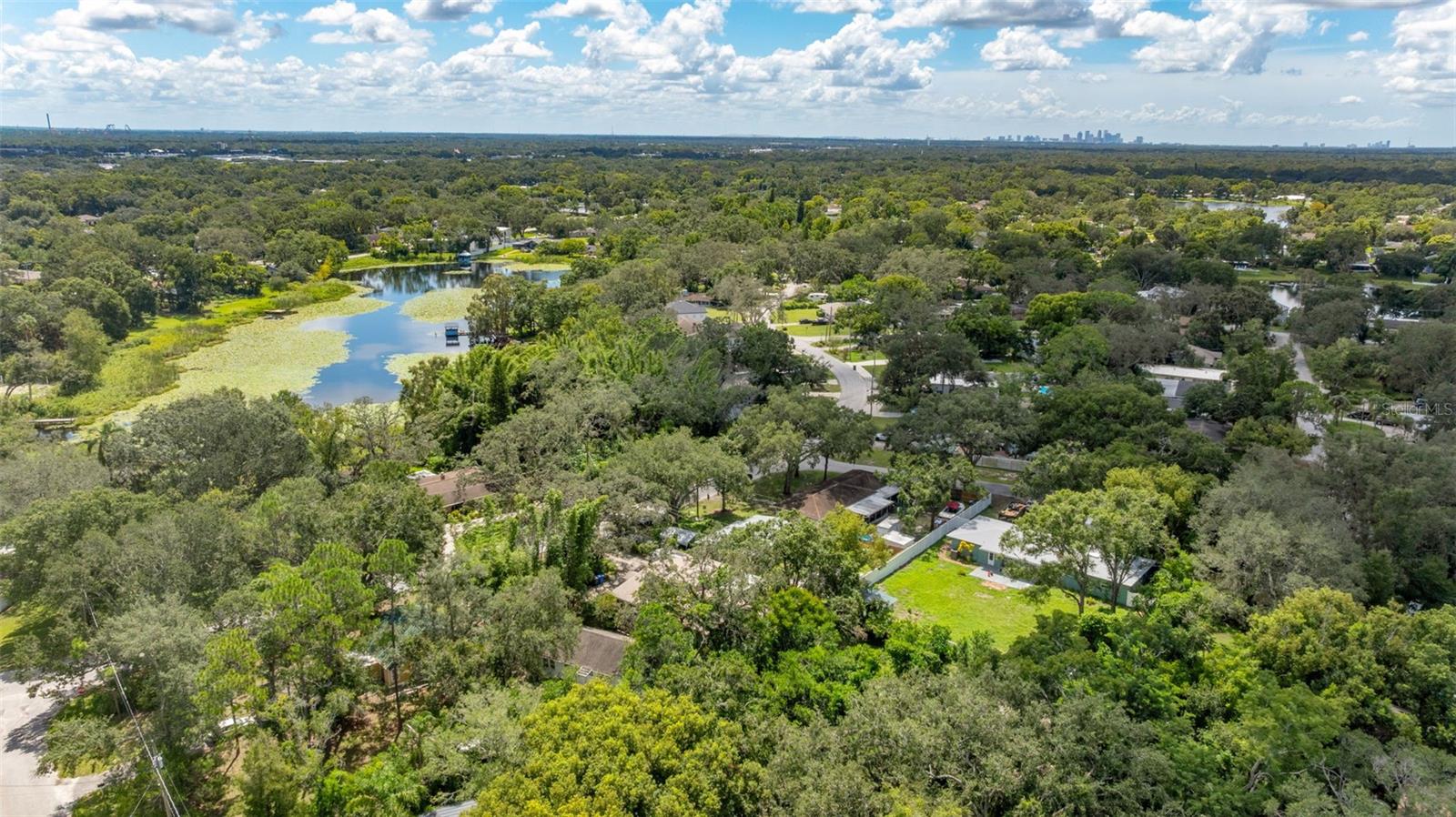 12510 NOREAST LAKE DR, TAMPA, FL, 33612