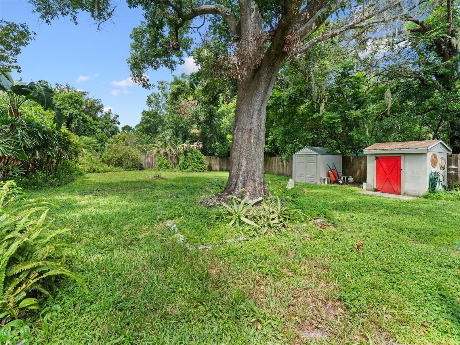 12510 NOREAST LAKE DR, TAMPA, FL, 33612