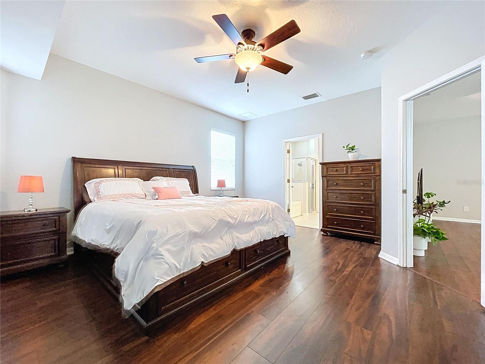 19540 SUNSET BAY DR, LAND O LAKES, FL, 34638