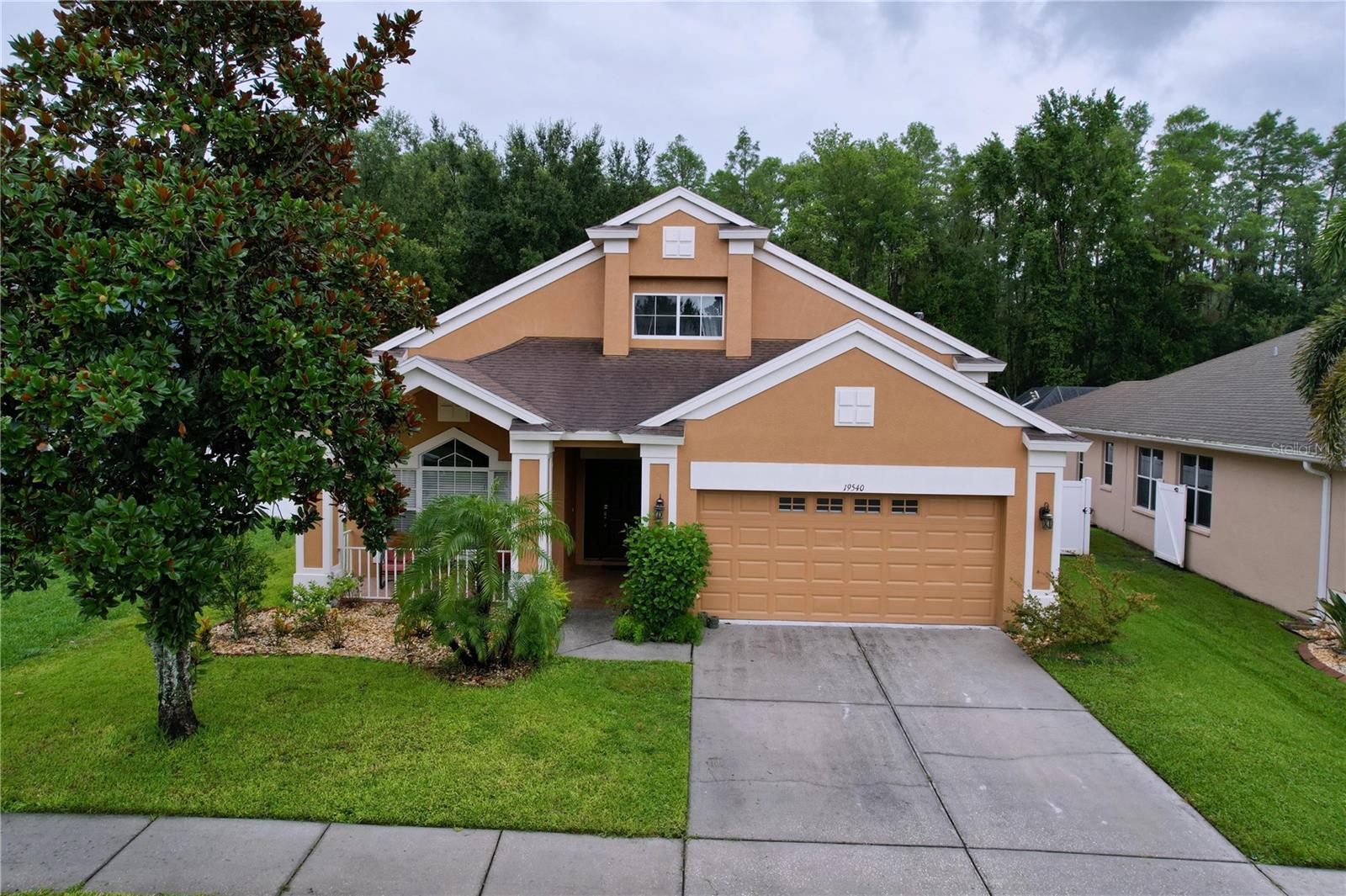 19540 SUNSET BAY DR, LAND O LAKES, FL, 34638