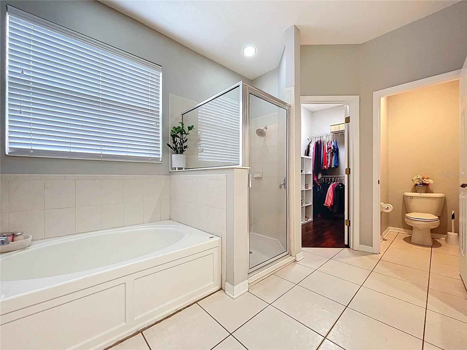 19540 SUNSET BAY DR, LAND O LAKES, FL, 34638