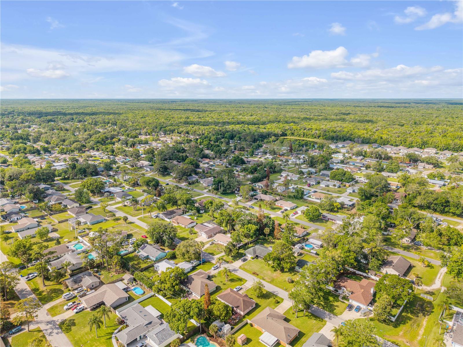 2321 VISTA PALM DR, EDGEWATER, FL, 32141