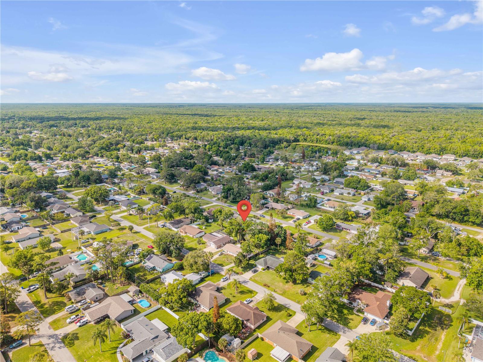 2321 VISTA PALM DR, EDGEWATER, FL, 32141