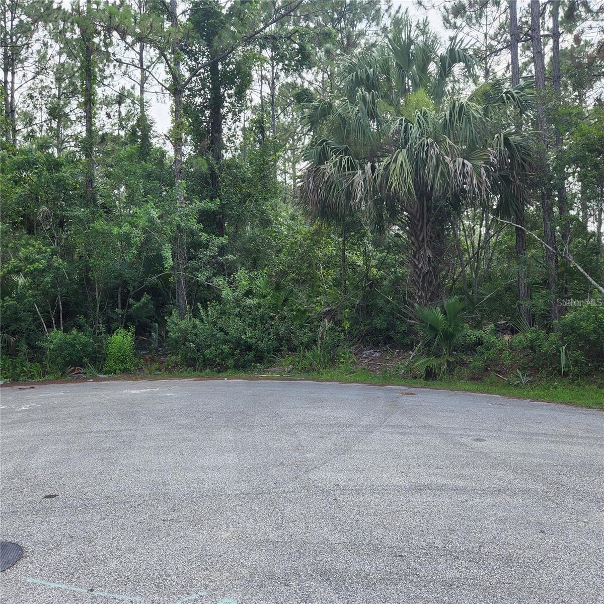 31 UNIONDALE PL, PALM COAST, FL, 32164