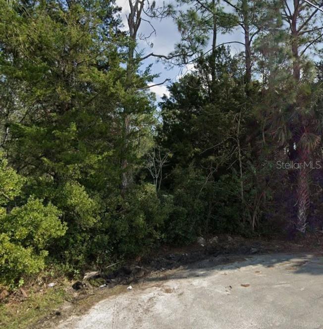 31 UNIONDALE PL, PALM COAST, FL, 32164