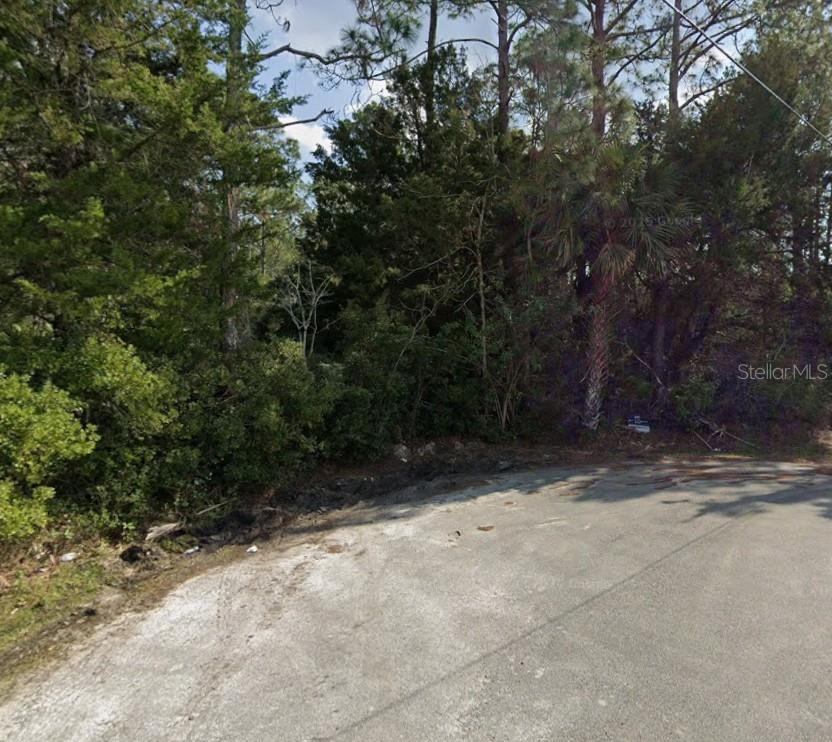 31 UNIONDALE PL, PALM COAST, FL, 32164