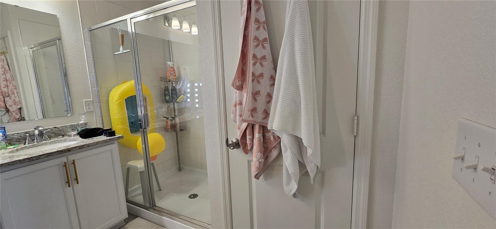 1446 GERANIUM DR, MASCOTTE, FL, 34753