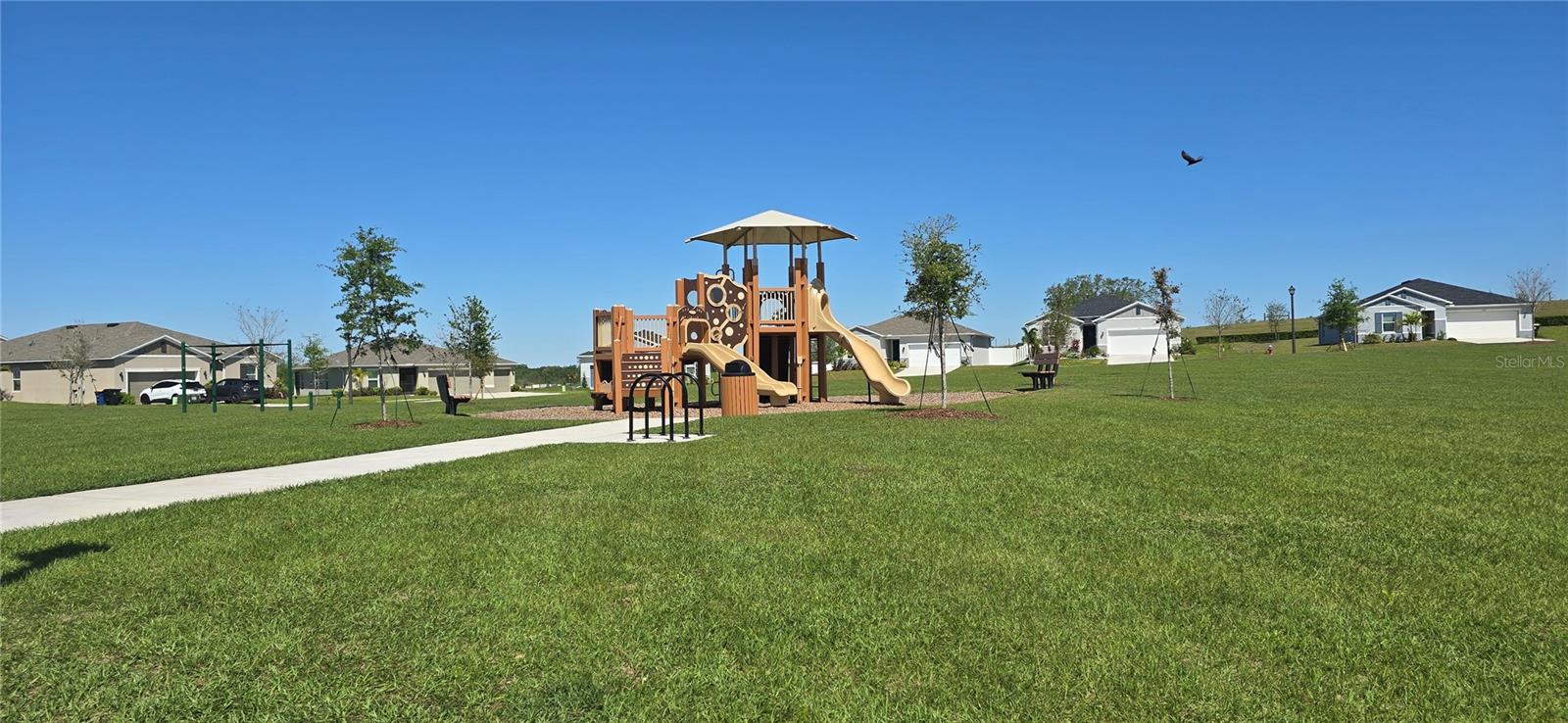 1446 GERANIUM DR, MASCOTTE, FL, 34753