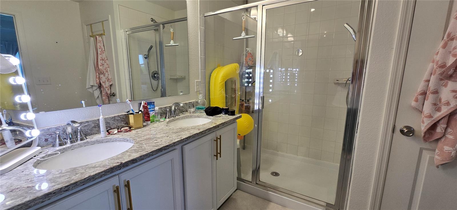 1446 GERANIUM DR, MASCOTTE, FL, 34753