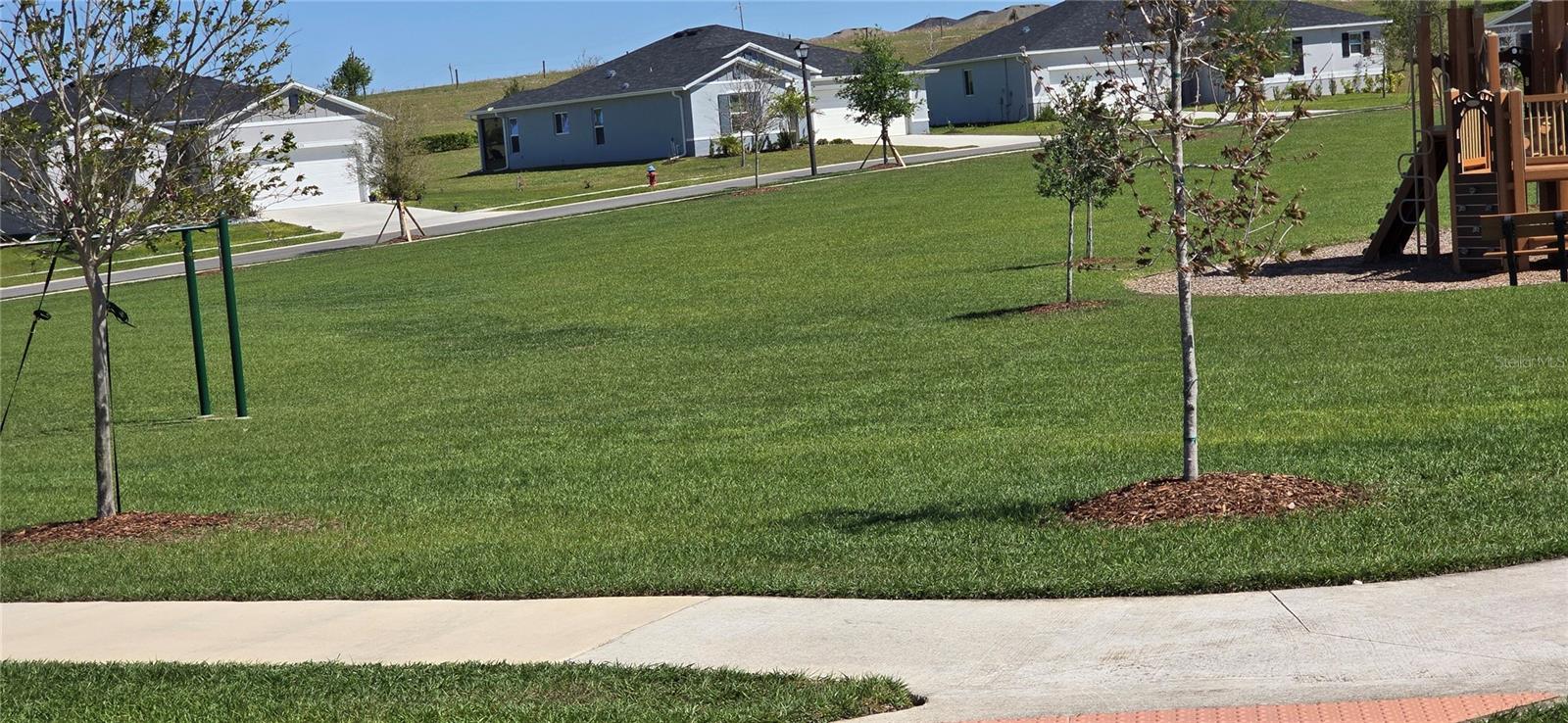 1446 GERANIUM DR, MASCOTTE, FL, 34753