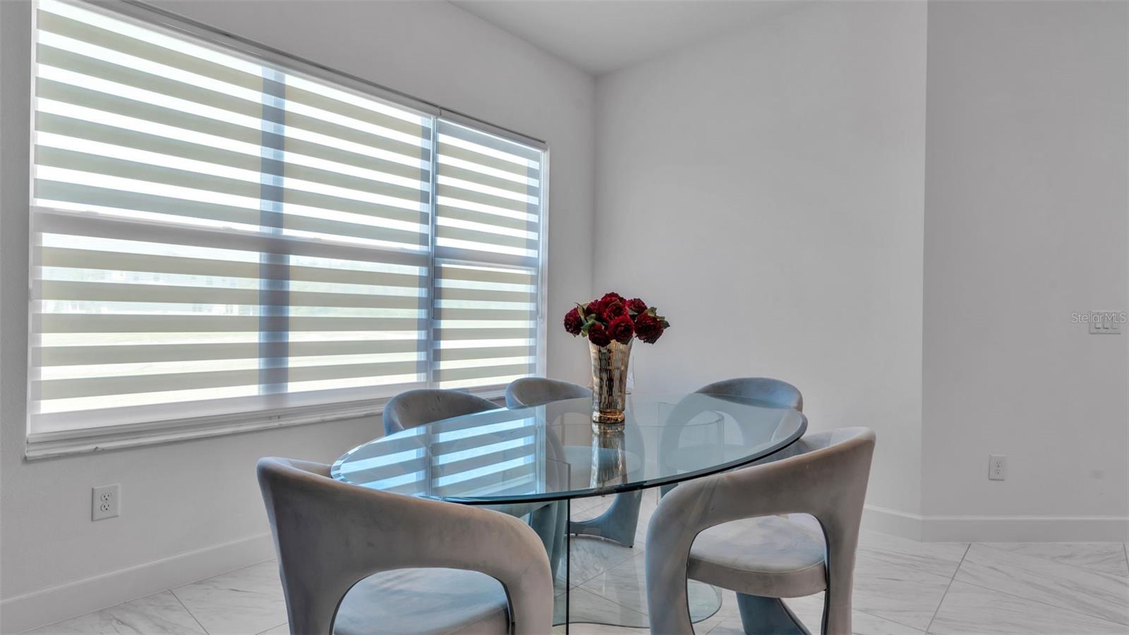 3405 JUNIPER SPRINGS ST, WESLEY CHAPEL, FL, 33543