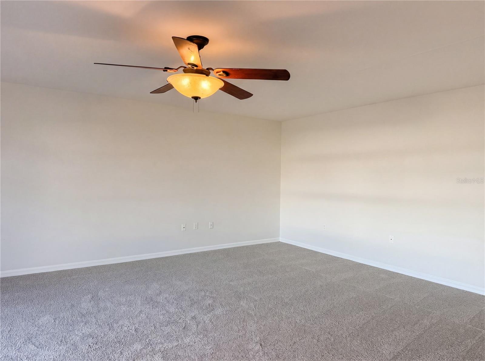 10315 BOYETTE CREEK BLVD, RIVERVIEW, FL, 33569