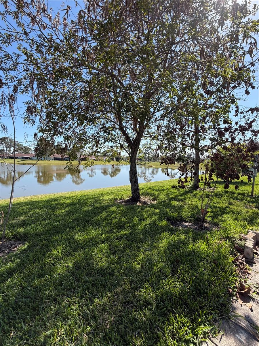 36 LAKEPOINTE CIR, KISSIMMEE, FL, 34743