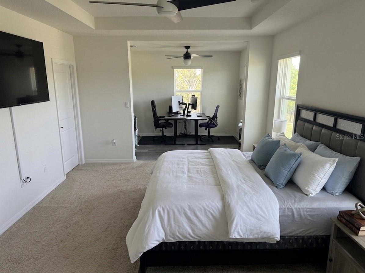 16910 OVAL RUM DR, WIMAUMA, FL, 33598