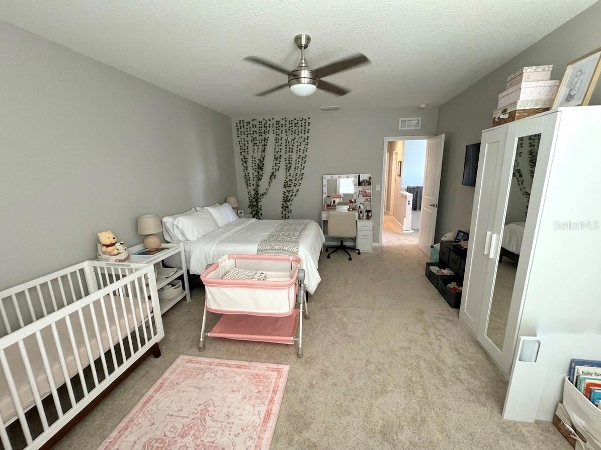 16910 OVAL RUM DR, WIMAUMA, FL, 33598