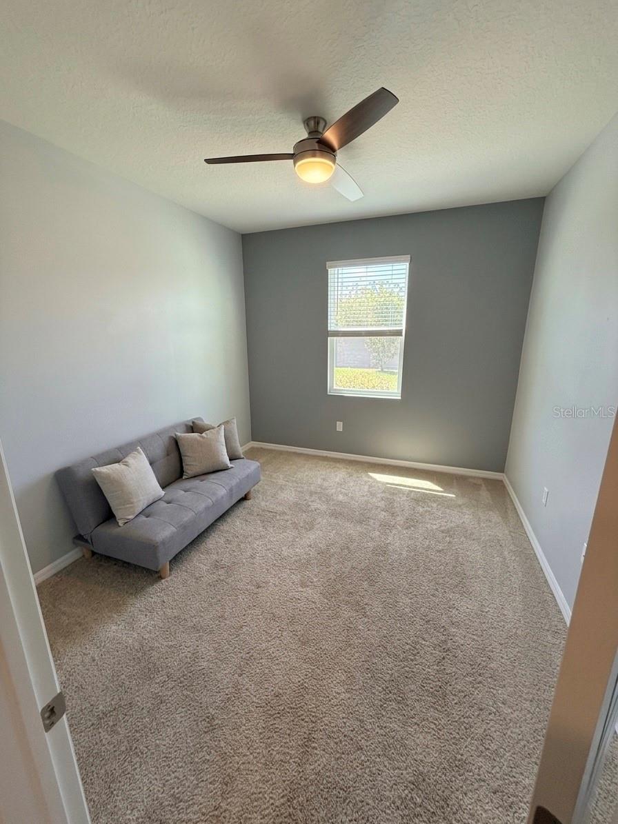 16910 OVAL RUM DR, WIMAUMA, FL, 33598