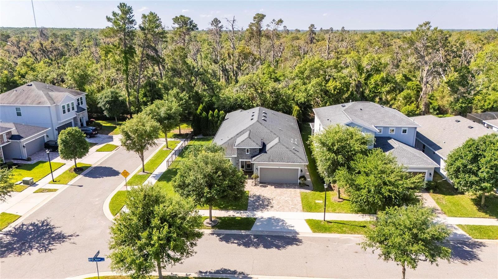 14121 CARISSA MEADOWS CT, RIVERVIEW, FL, 33569