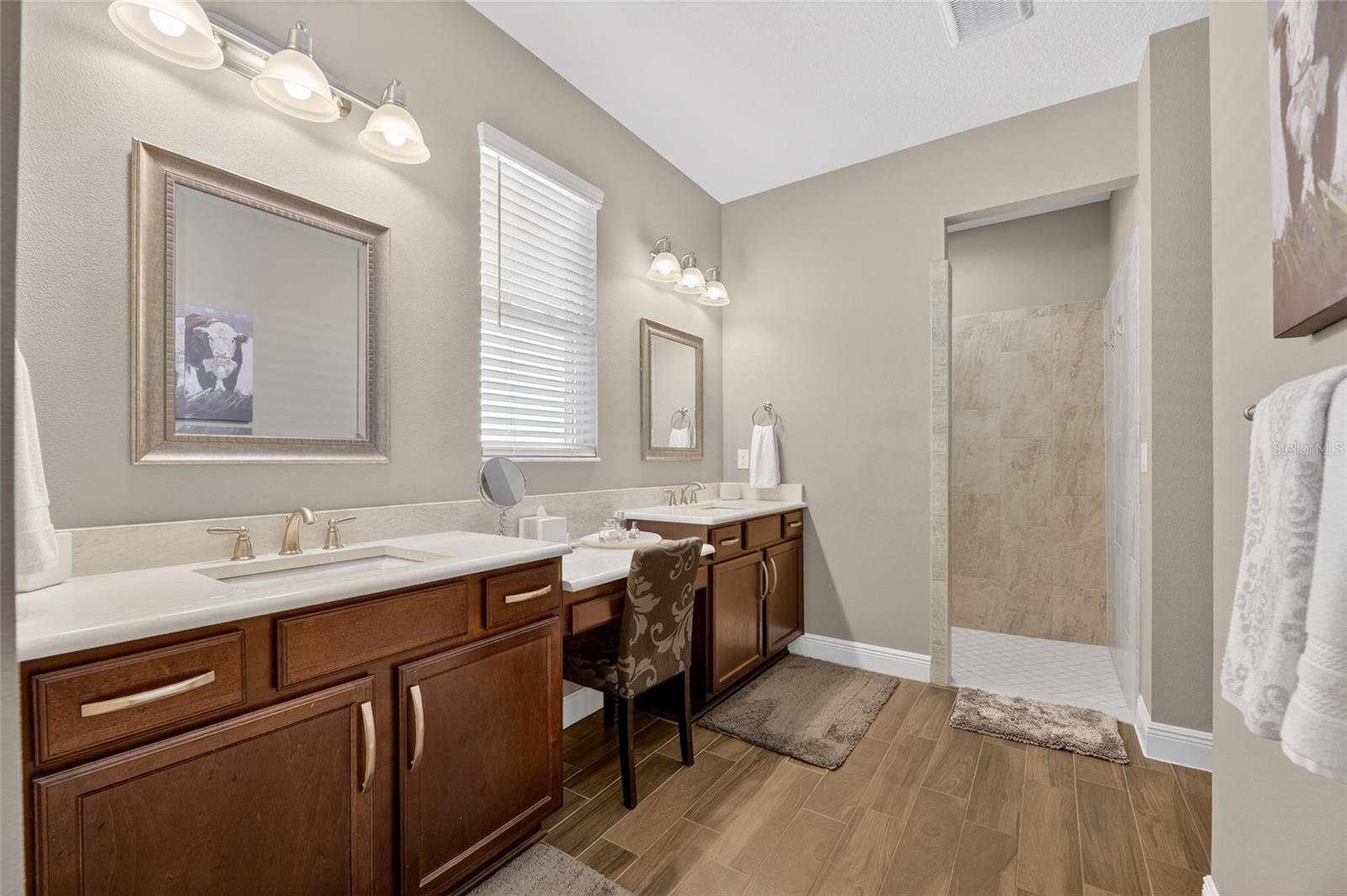 14121 CARISSA MEADOWS CT, RIVERVIEW, FL, 33569