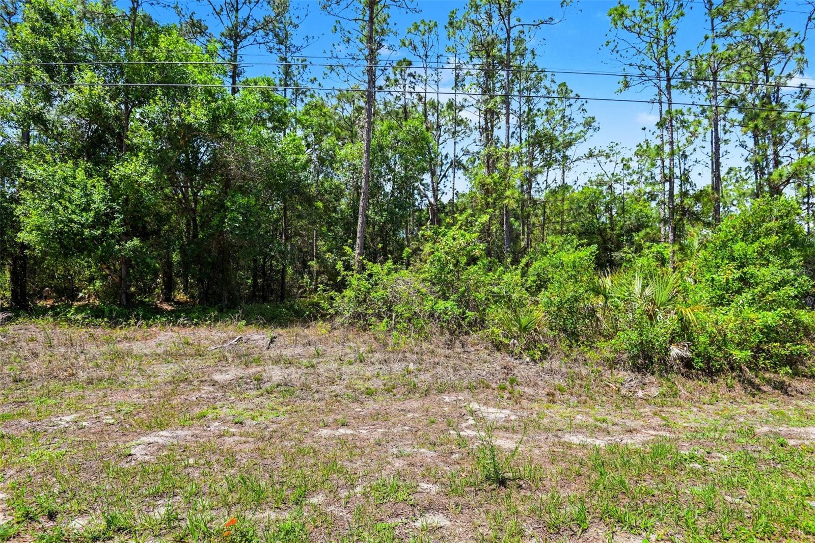 711 WELLINGTON AVE, LEHIGH ACRES, FL, 33972