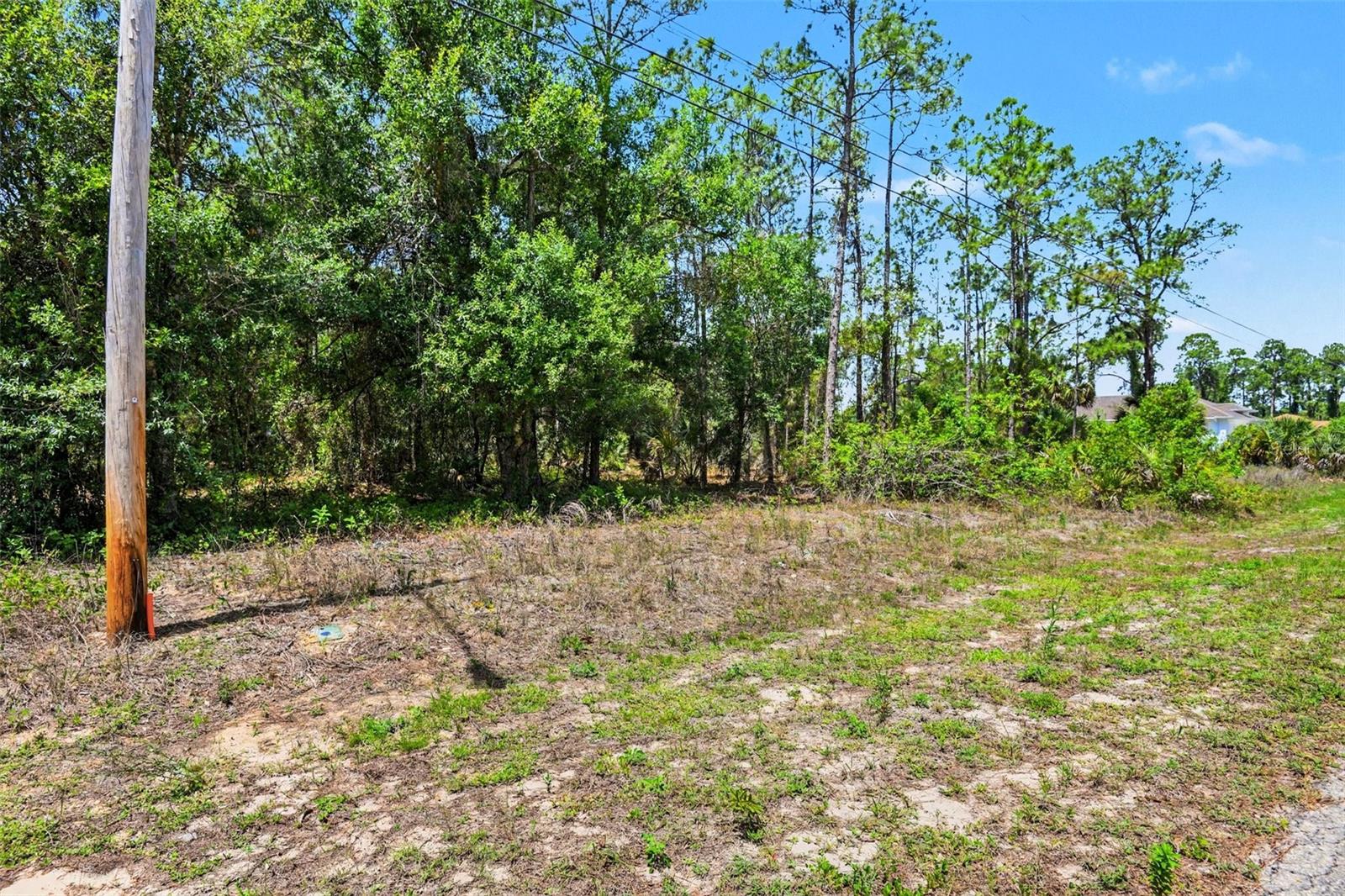 711 WELLINGTON AVE, LEHIGH ACRES, FL, 33972