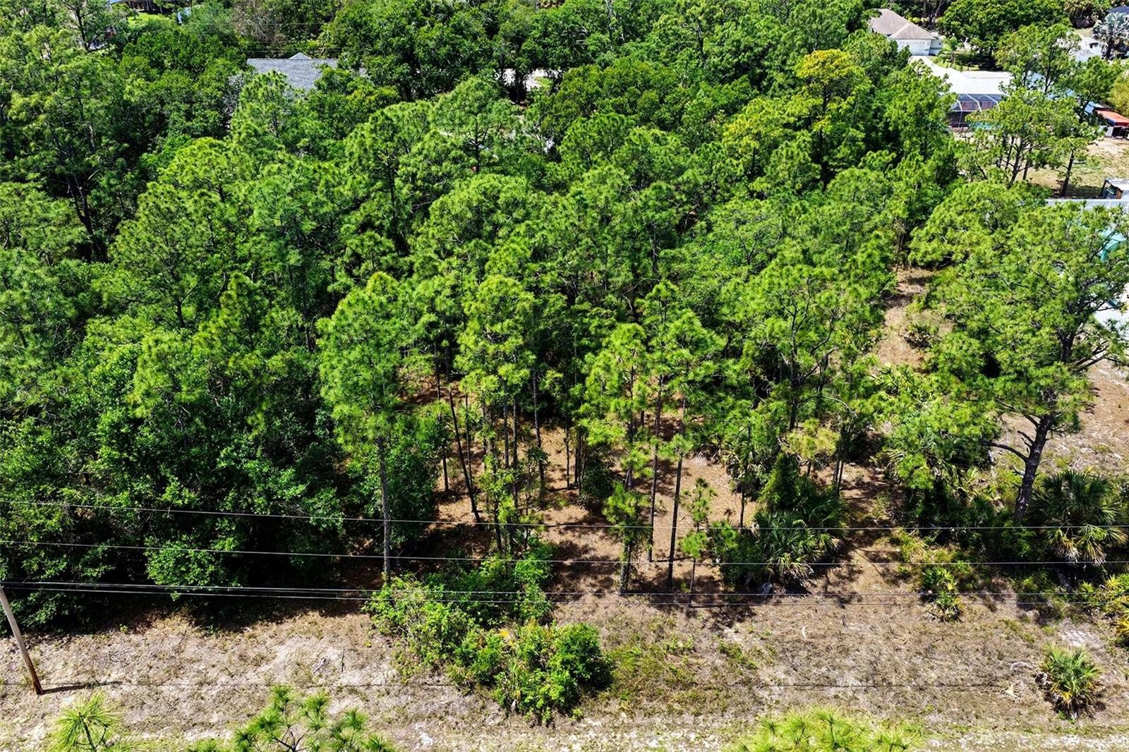 711 WELLINGTON AVE, LEHIGH ACRES, FL, 33972