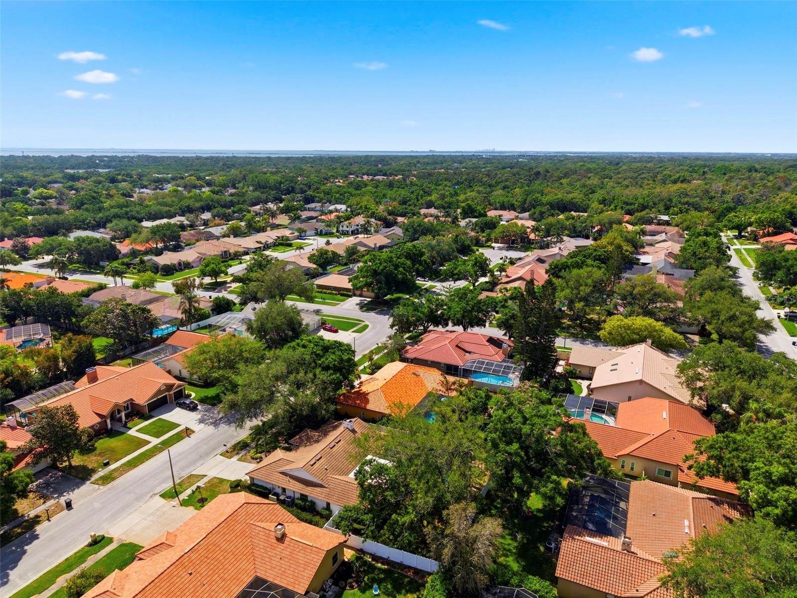 2418 ANTHONY AVE, CLEARWATER, FL, 33759