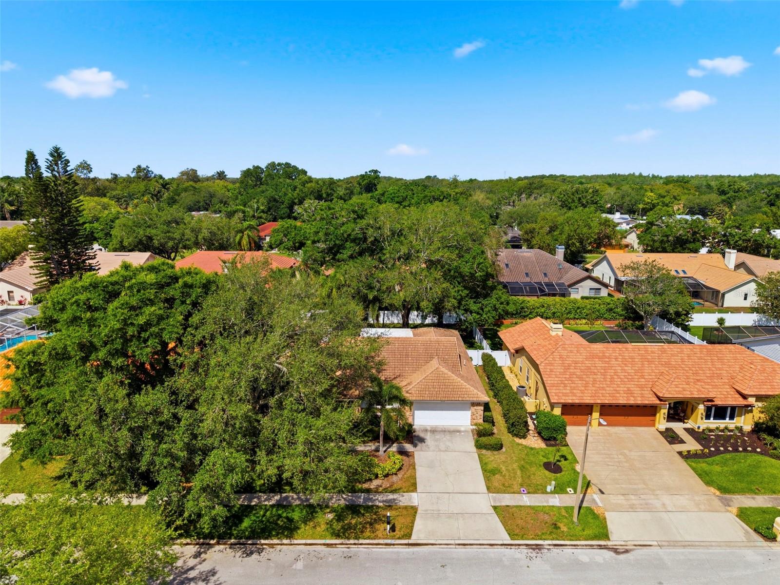 2418 ANTHONY AVE, CLEARWATER, FL, 33759