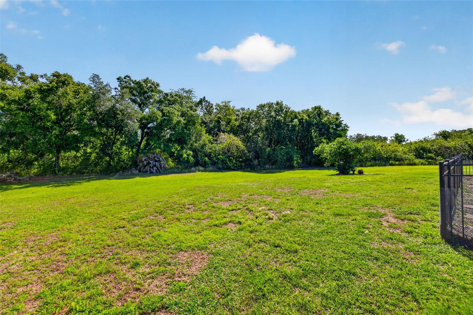 17308 HOWLING WOLF RUN, PARRISH, FL, 34219