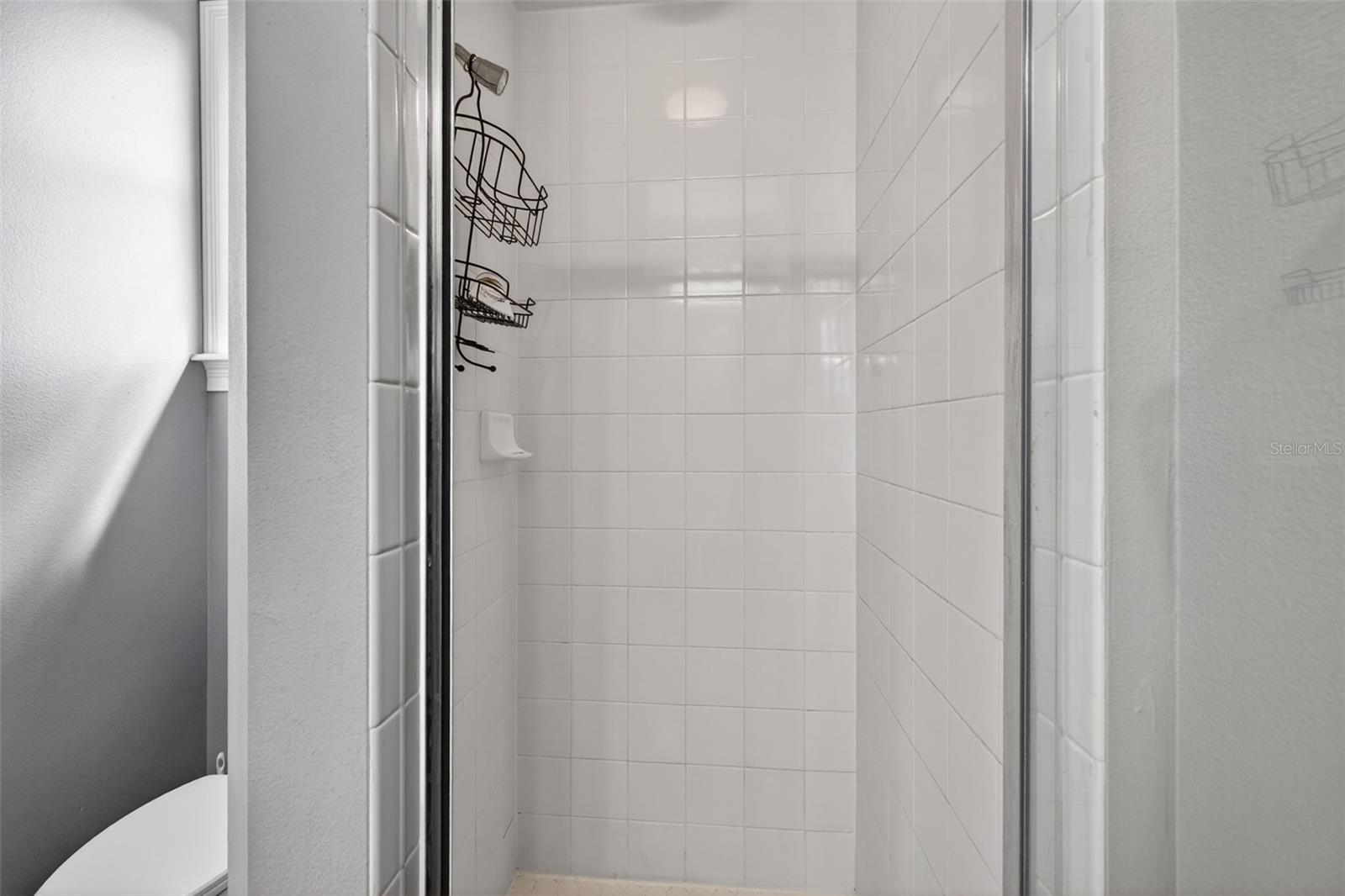 17308 HOWLING WOLF RUN, PARRISH, FL, 34219