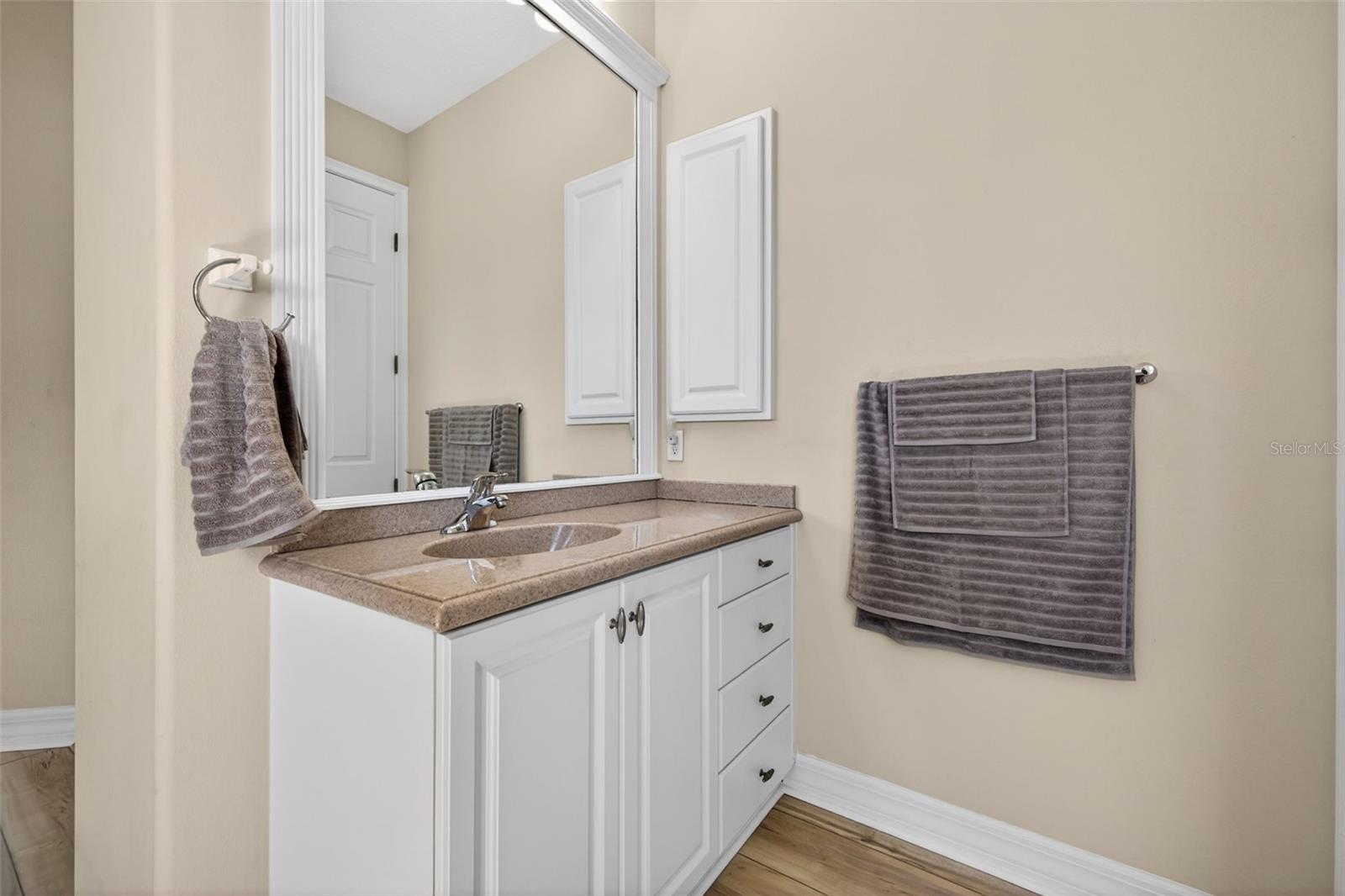 17308 HOWLING WOLF RUN, PARRISH, FL, 34219