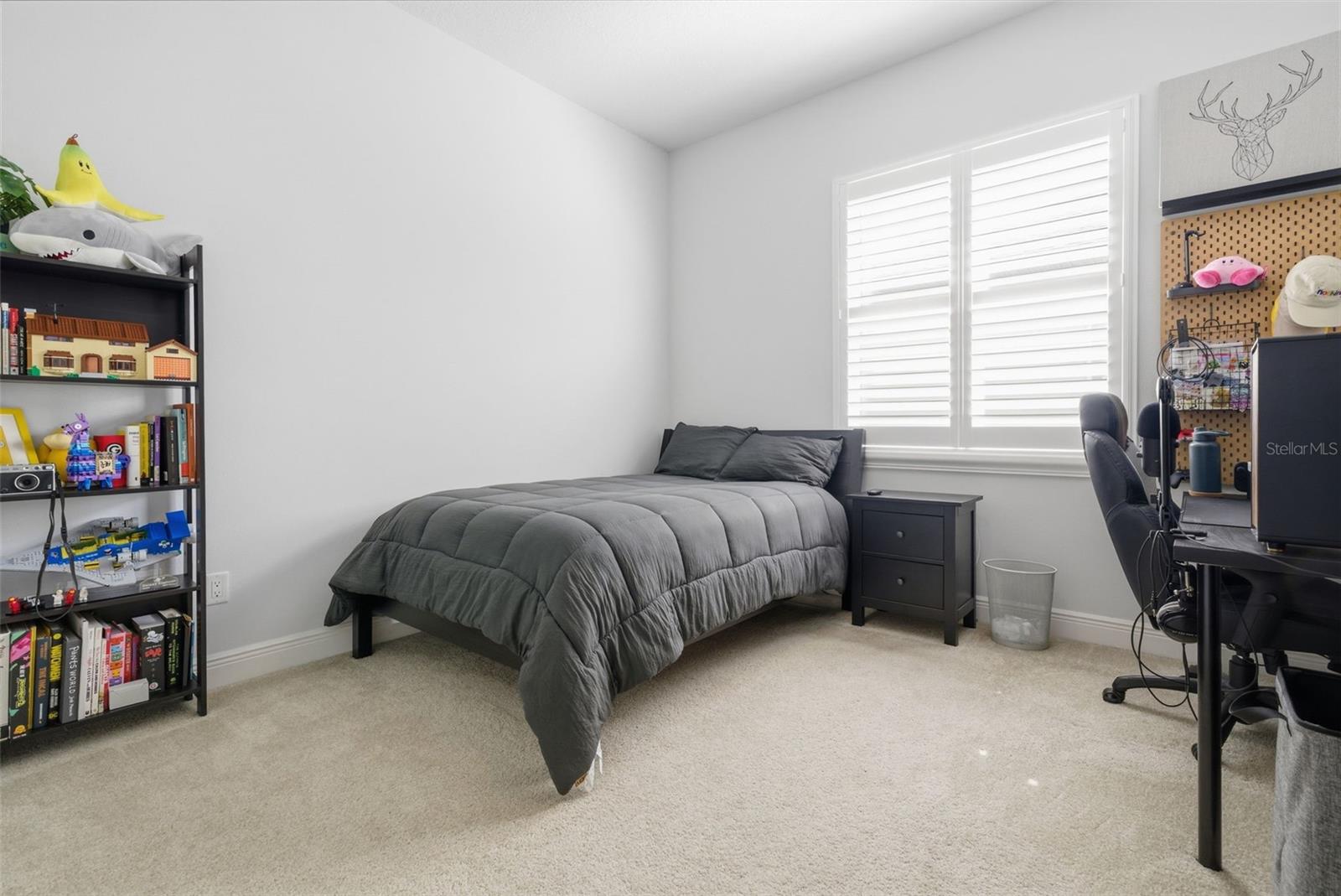 3840 CARDENAL AVE, SUN CITY CENTER, FL, 33573