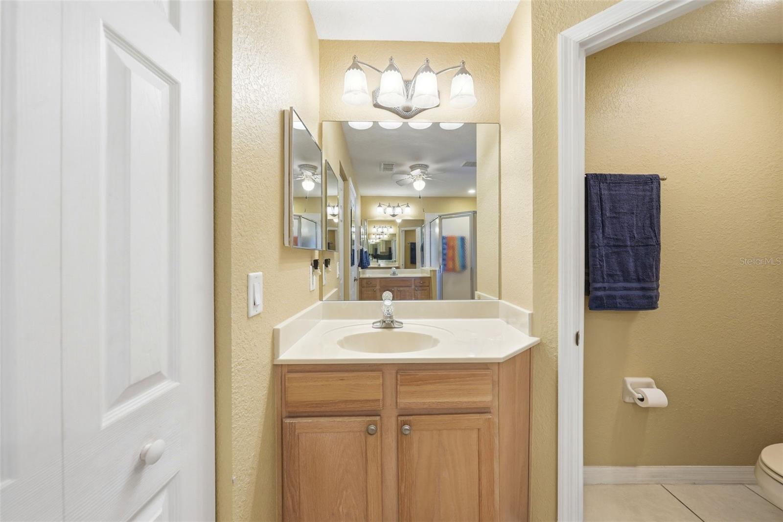 17083 SE 115TH TERRACE RD, SUMMERFIELD, FL, 34491