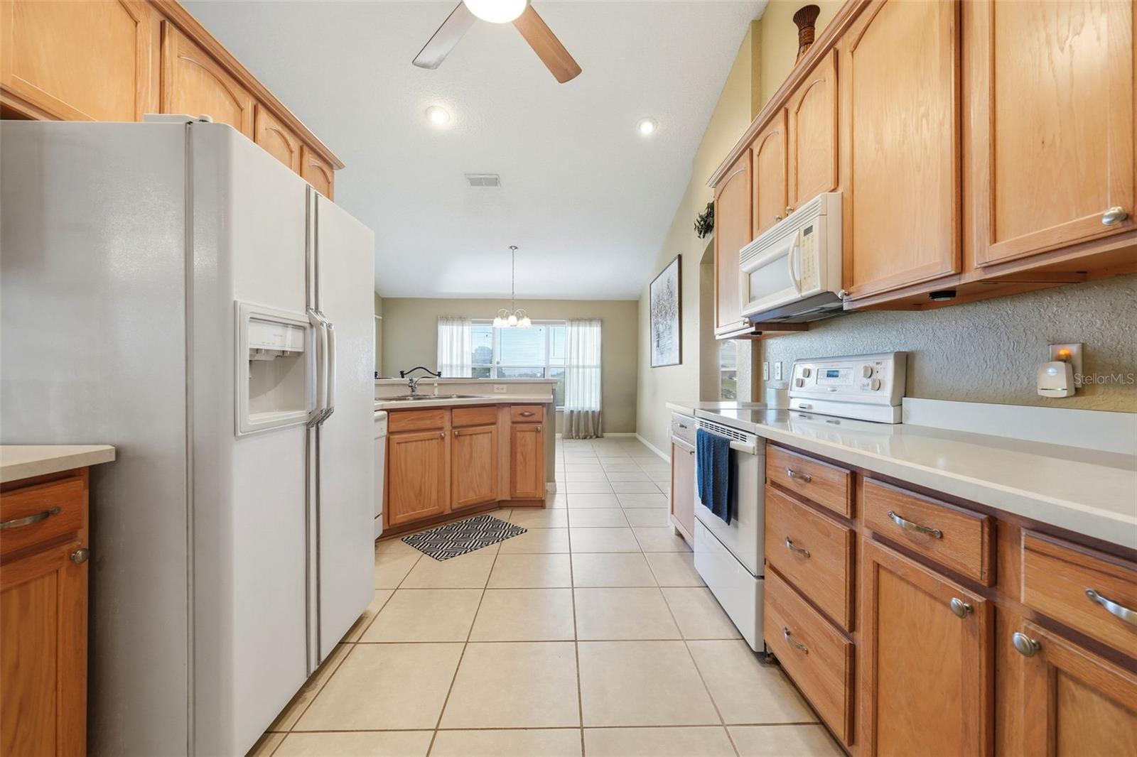 17083 SE 115TH TERRACE RD, SUMMERFIELD, FL, 34491